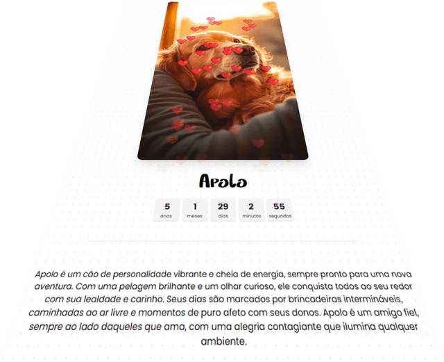 Passo 4: Perfil Personalizado